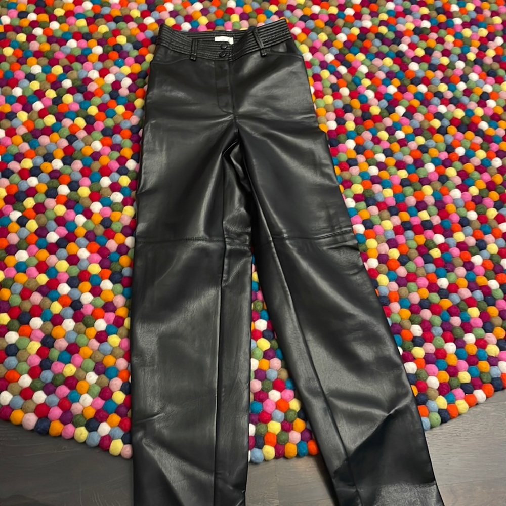 wilfred aritzia vegan pants